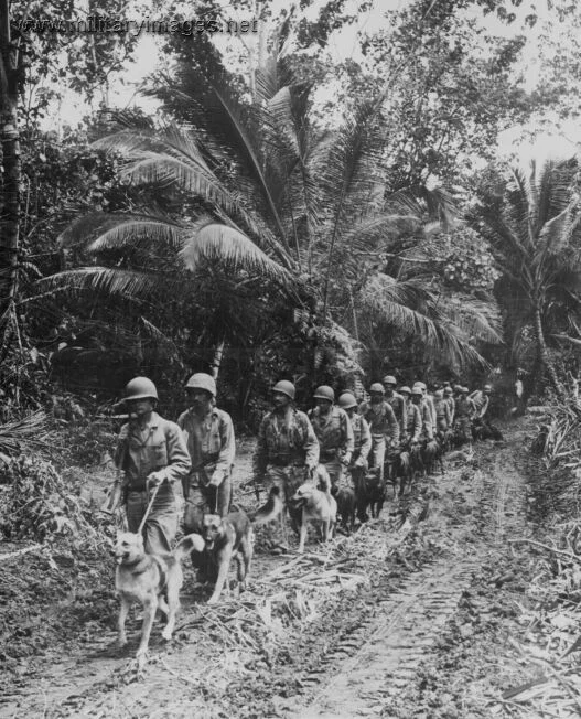 marine_raiders_bougainville