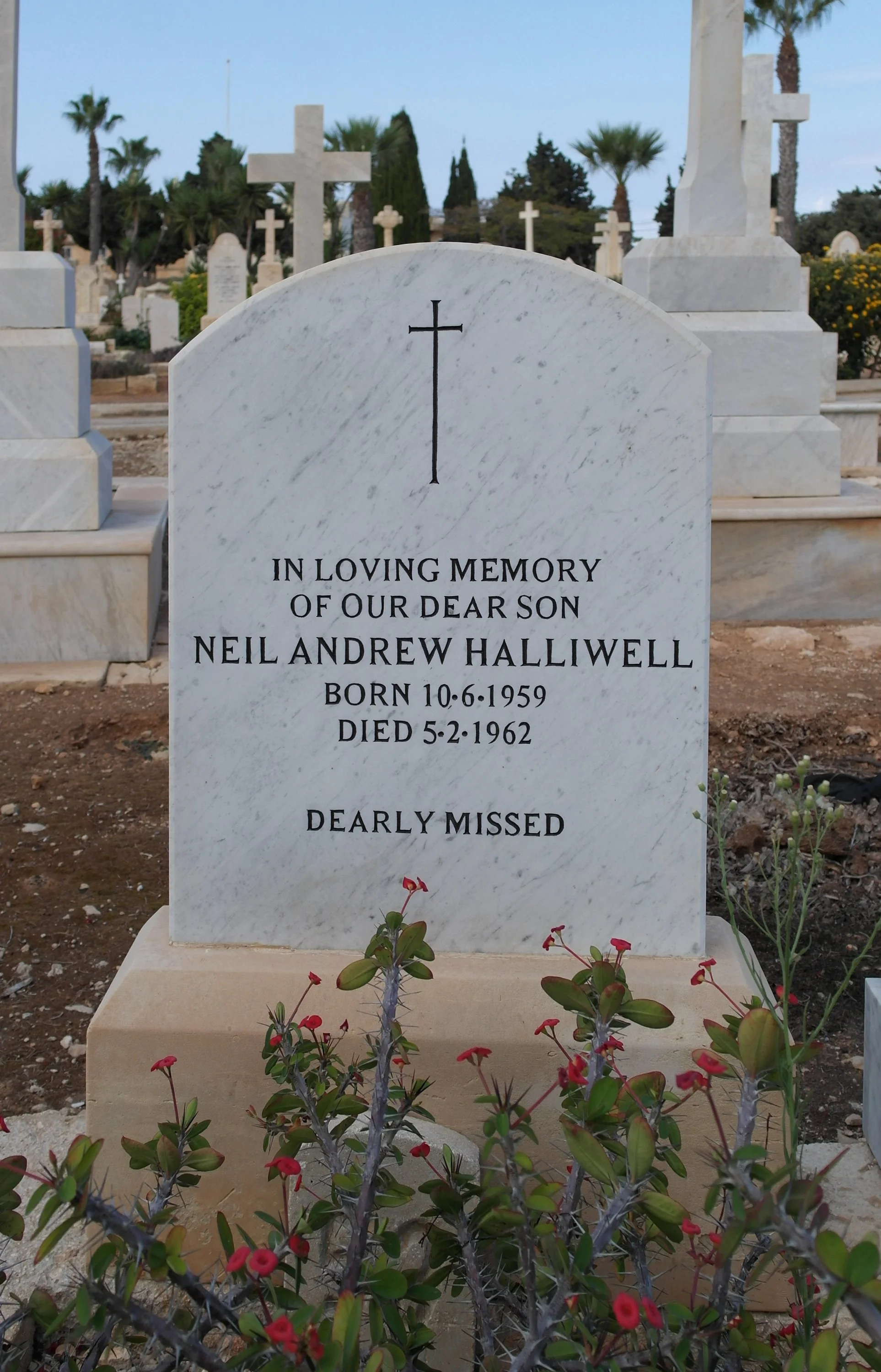 NEIL ANDREW HALLIWELL