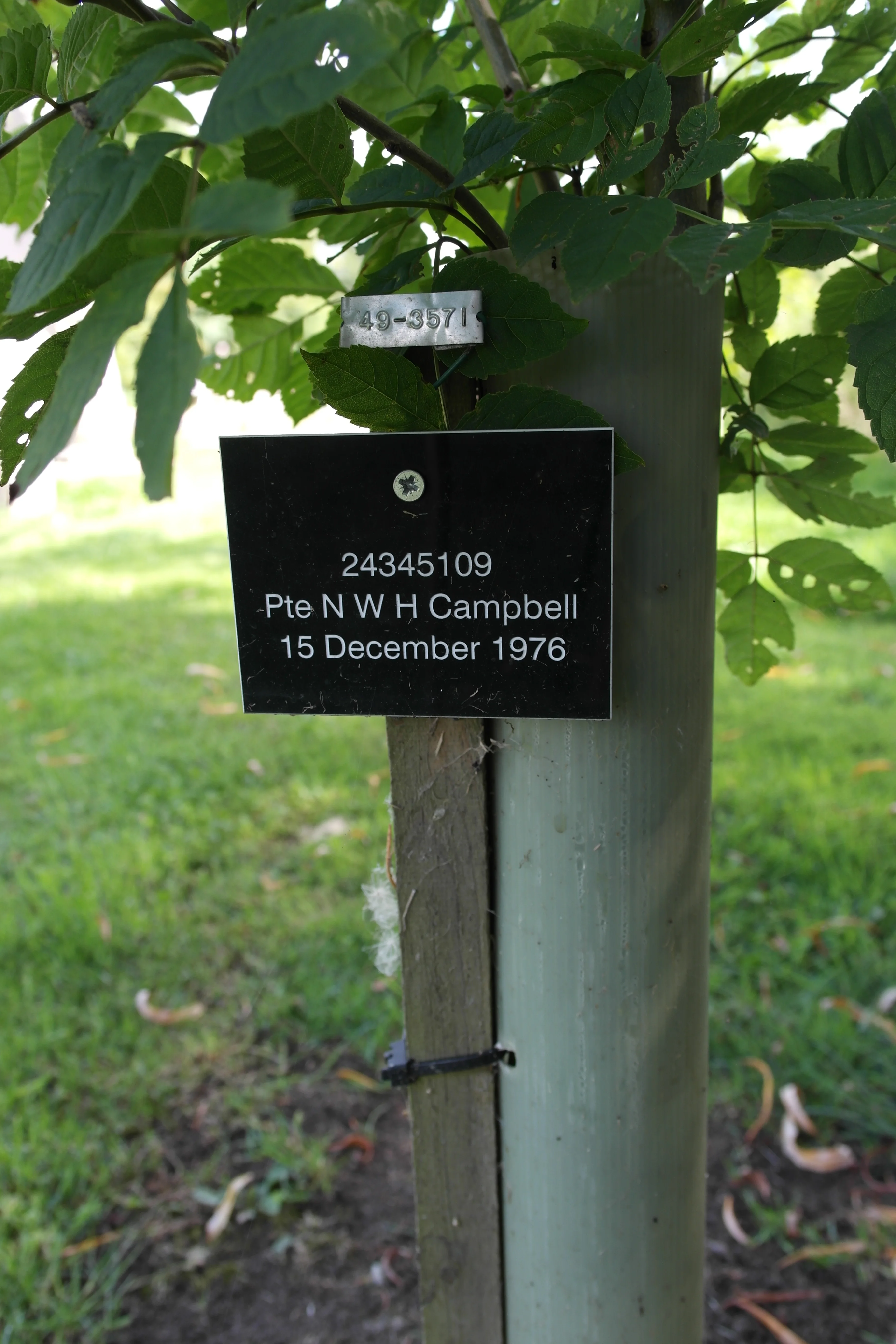 Norman Windsor Hanna  CAMPBELL