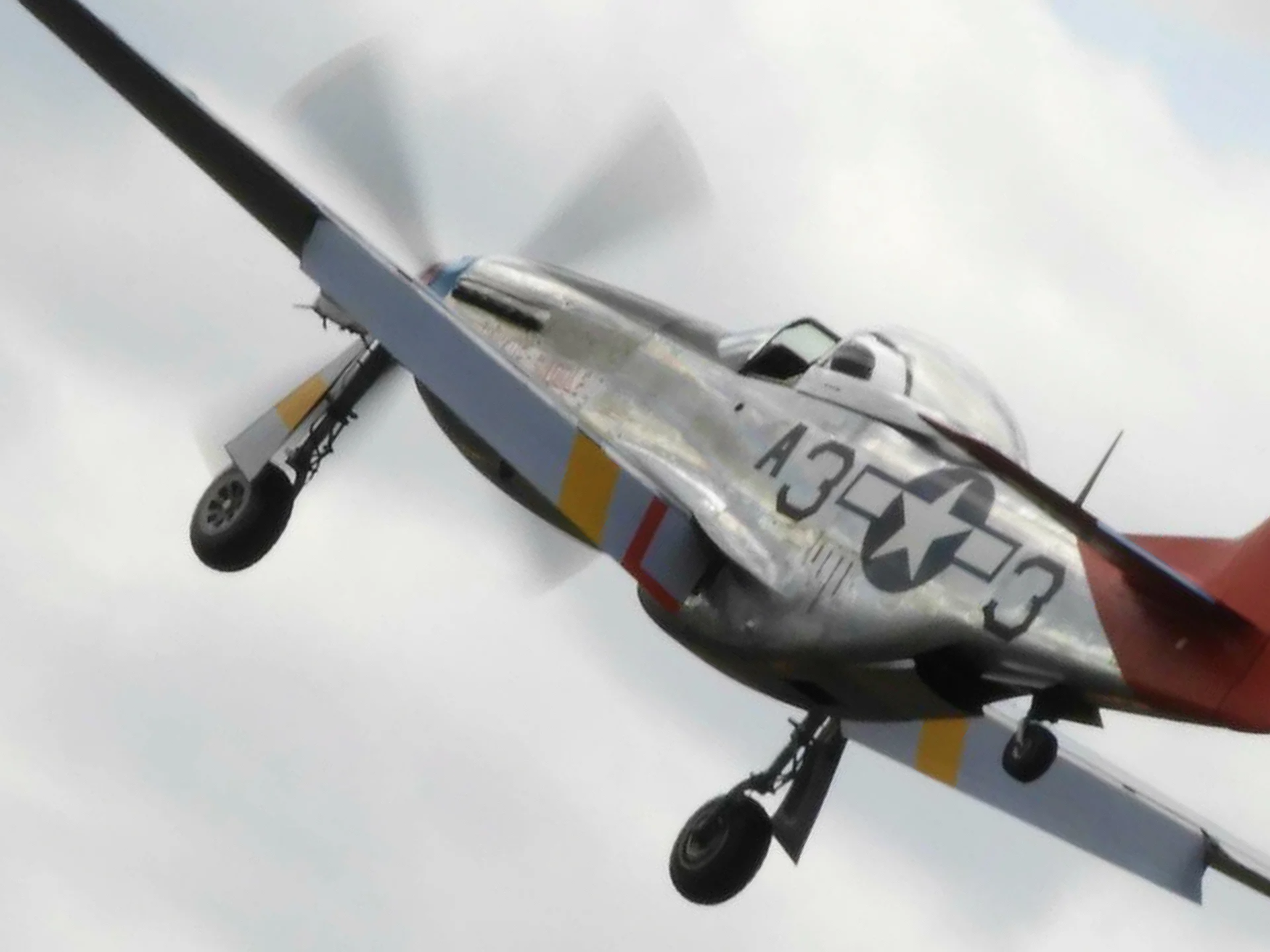 P 51 Side