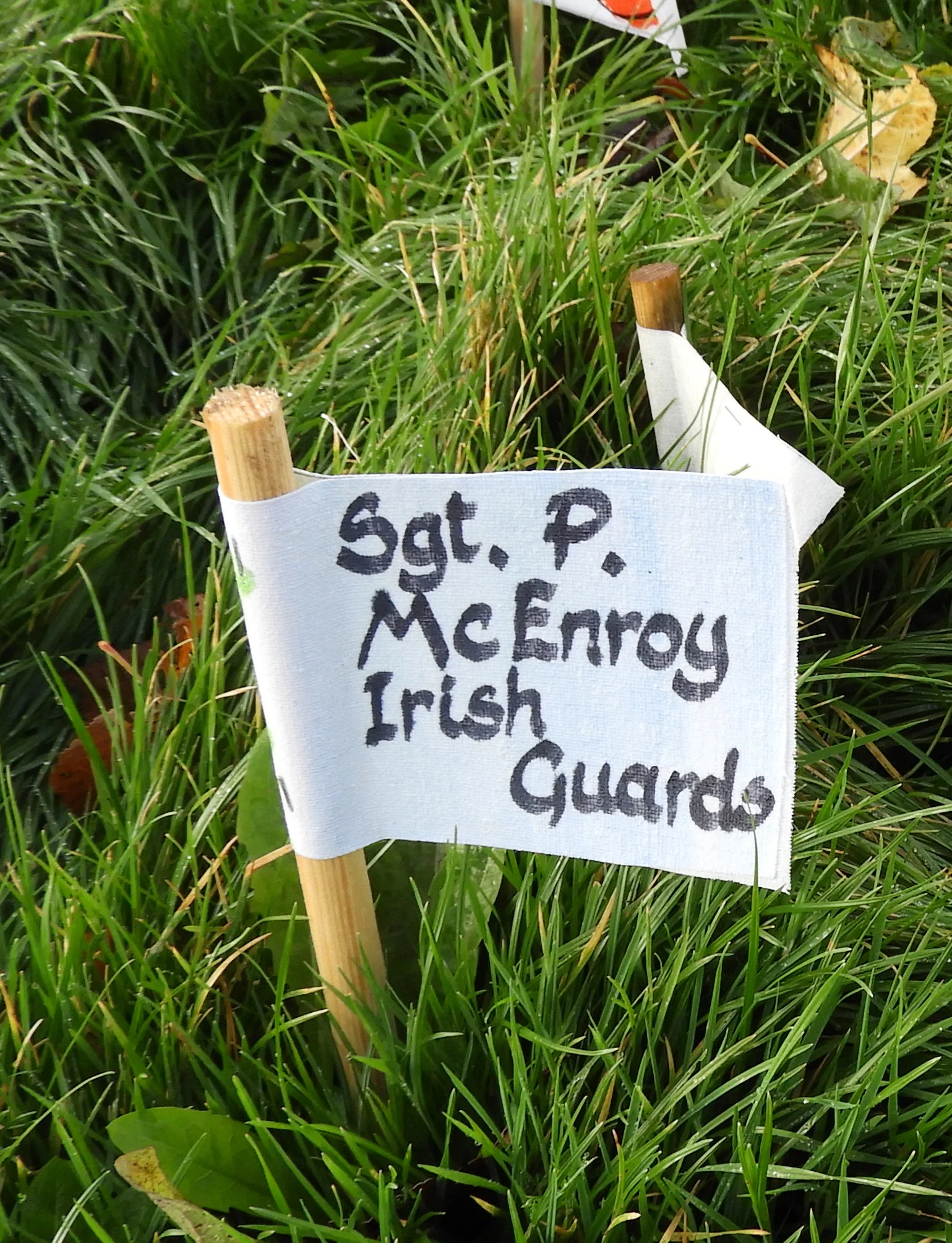 P McENROY