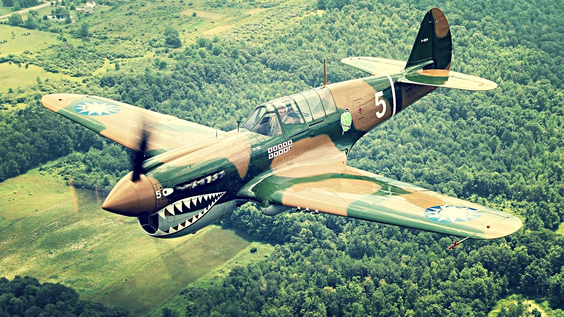 P40 Warhawk