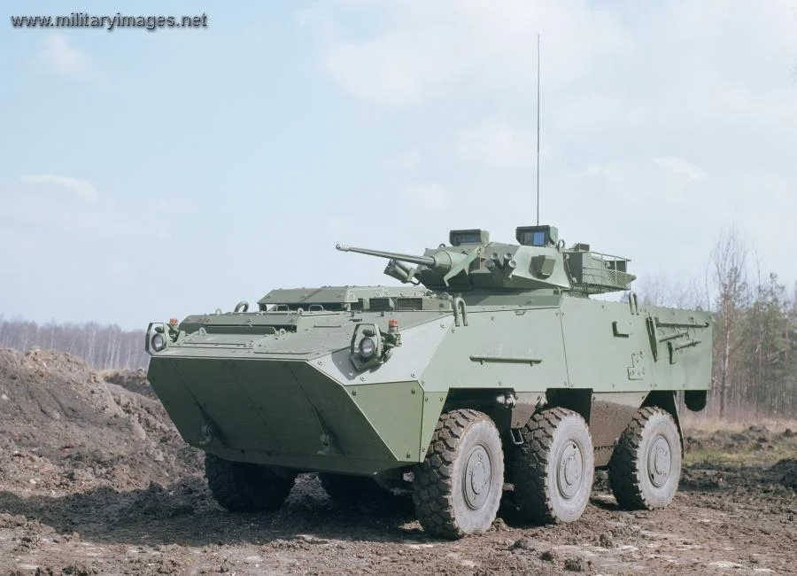 Pandur II 6x6 with GD LAV 25 Turret