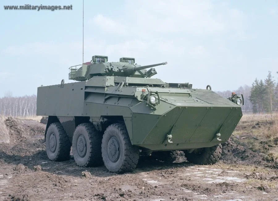 Pandur II 6x6 with GD LAV 25 Turret