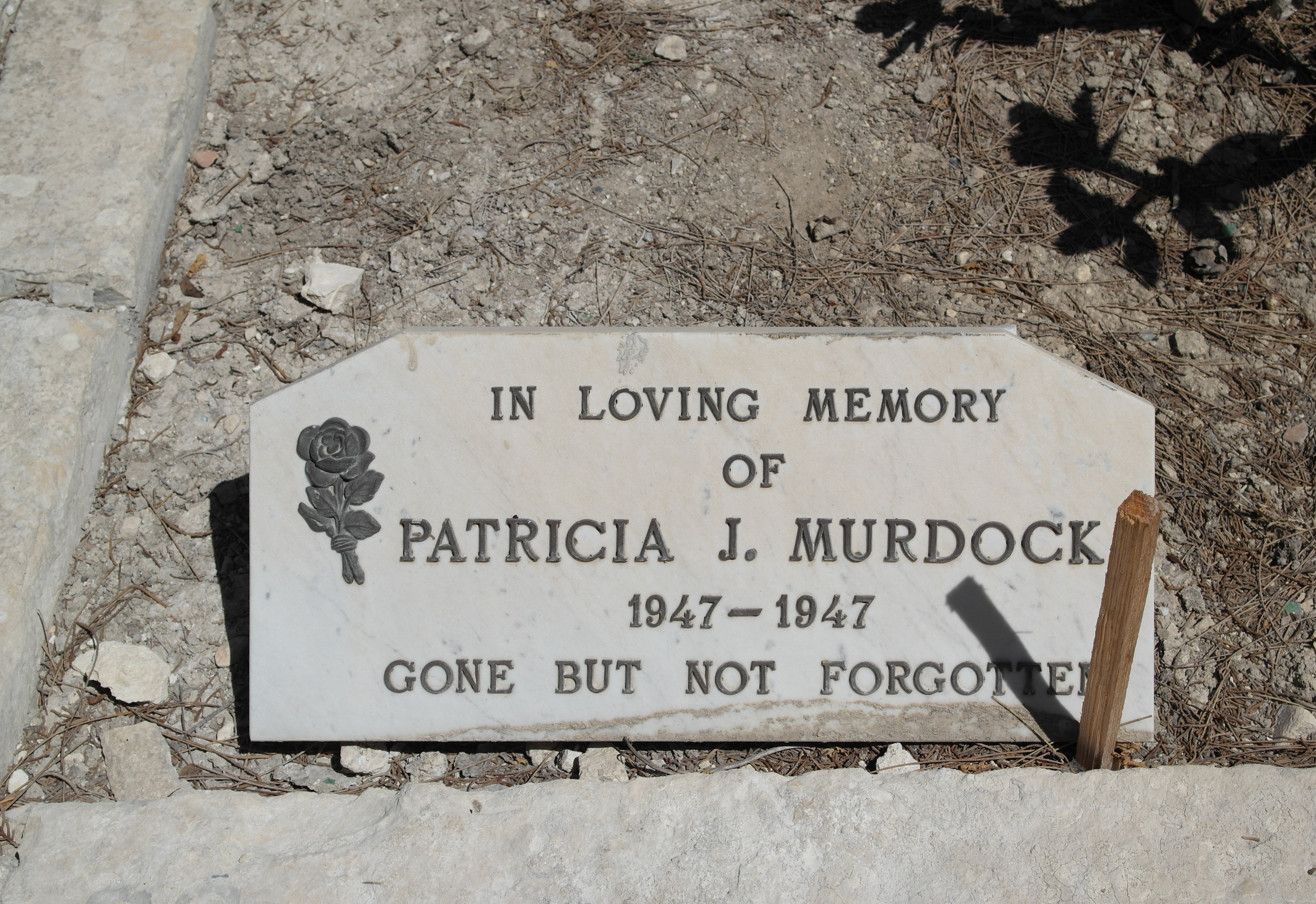 PATRICIA J MURDOCK