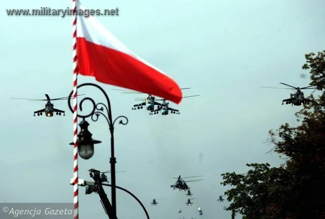 Polish Army Day