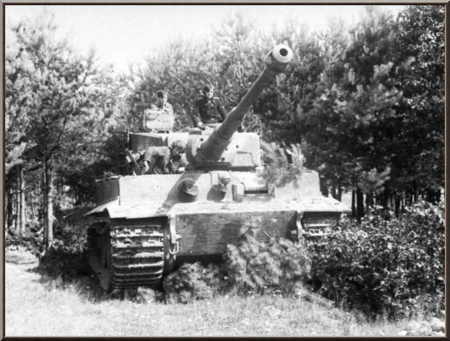 Pz6_Polen_Tiger_I