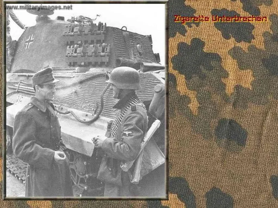 pz6b0034