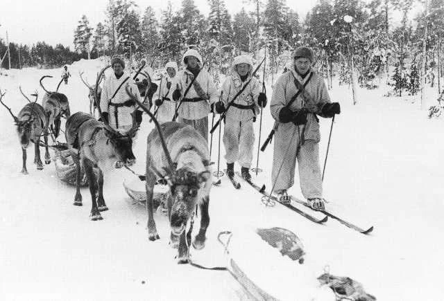Reindeer patrol