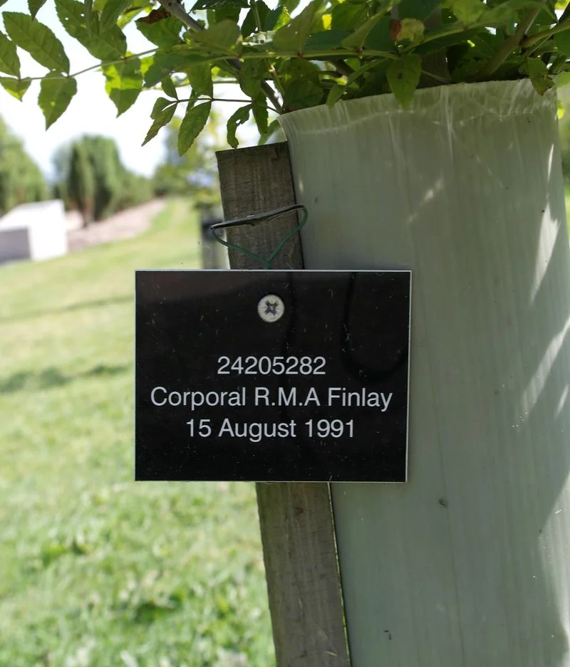 Ronald M A FINLAY