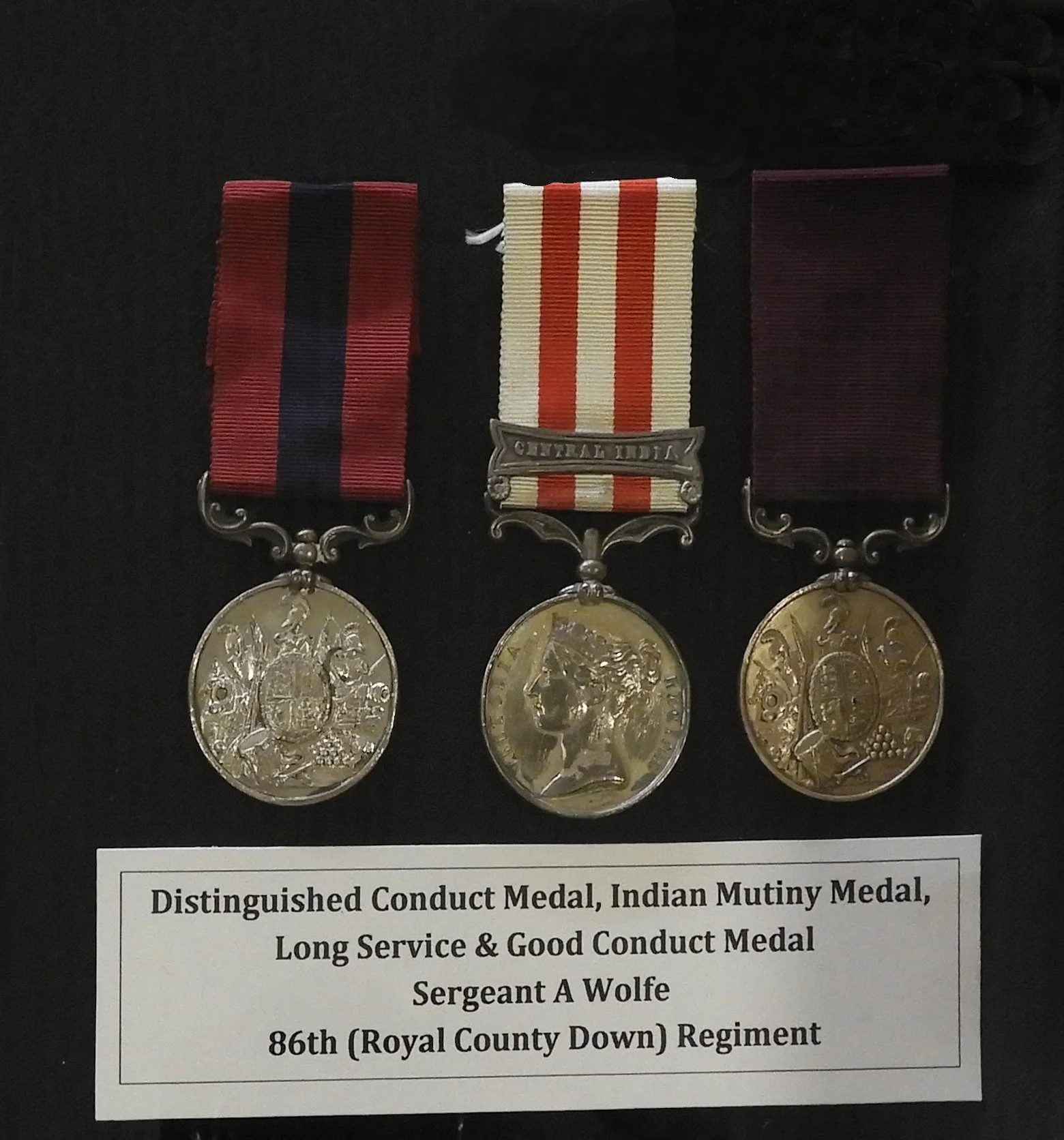 Sergeant Allyne Wolfe  - Medals