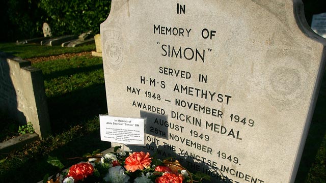 Simon the cat HMS Amethyst Grave