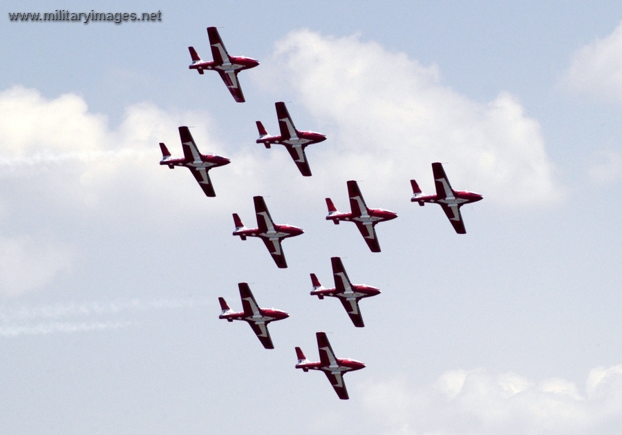 Snowbirds perform a nine-plane formation