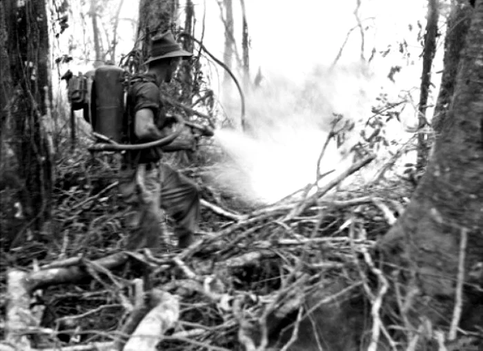 soldiers in action