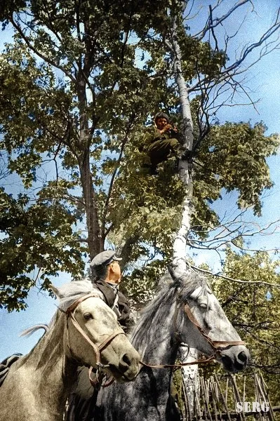 Soviet Army WWII In colour