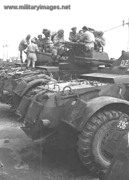 Staghound