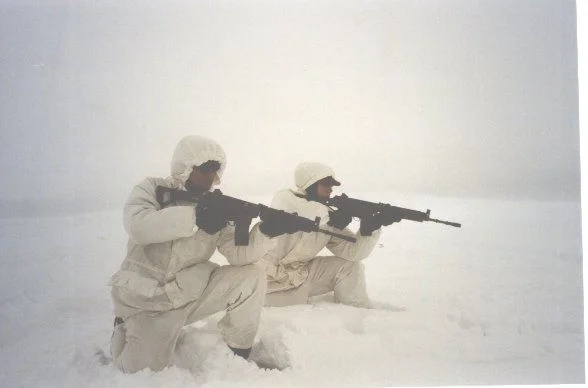 Swedish Arctic Infantry