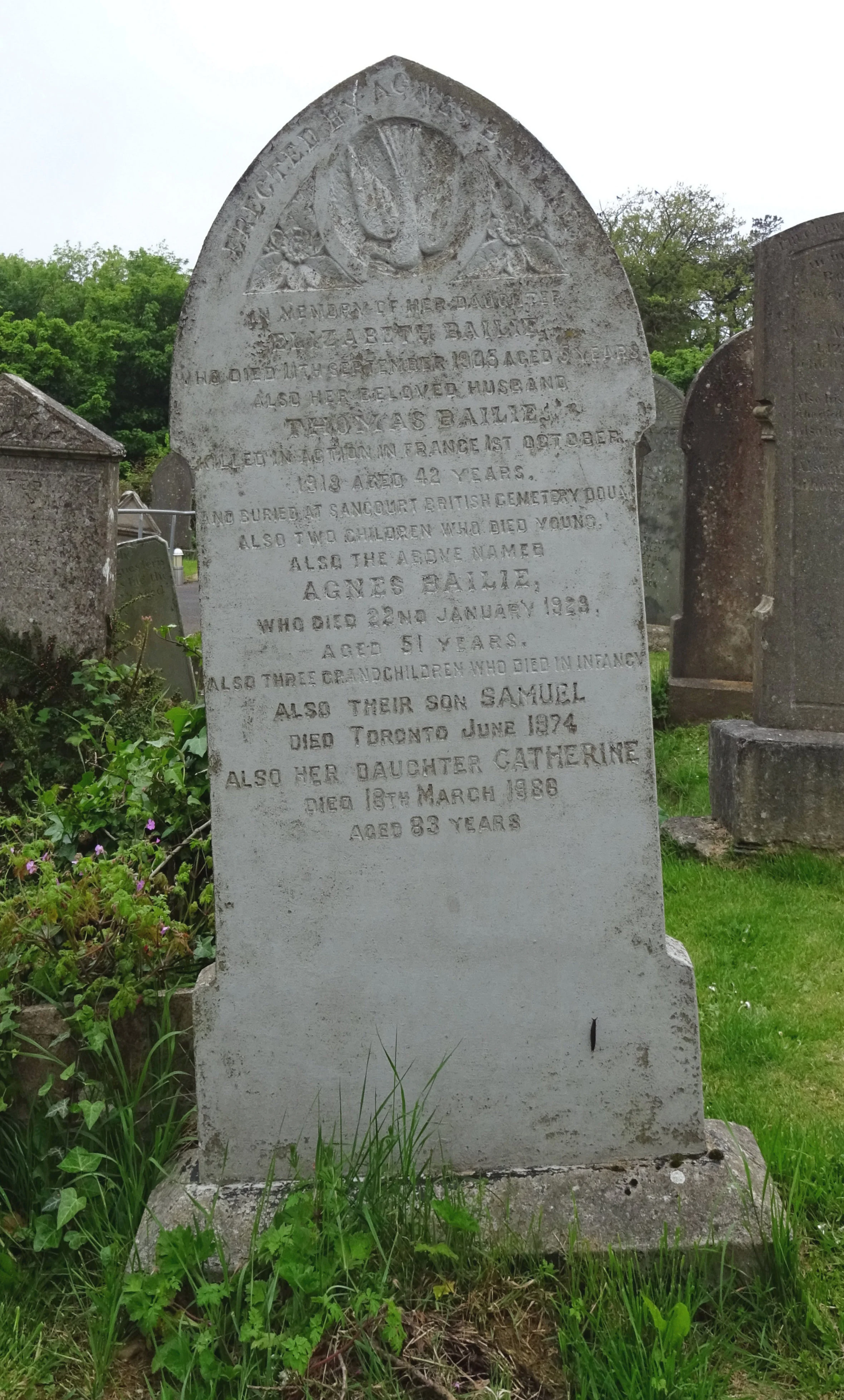Thomas Bailie