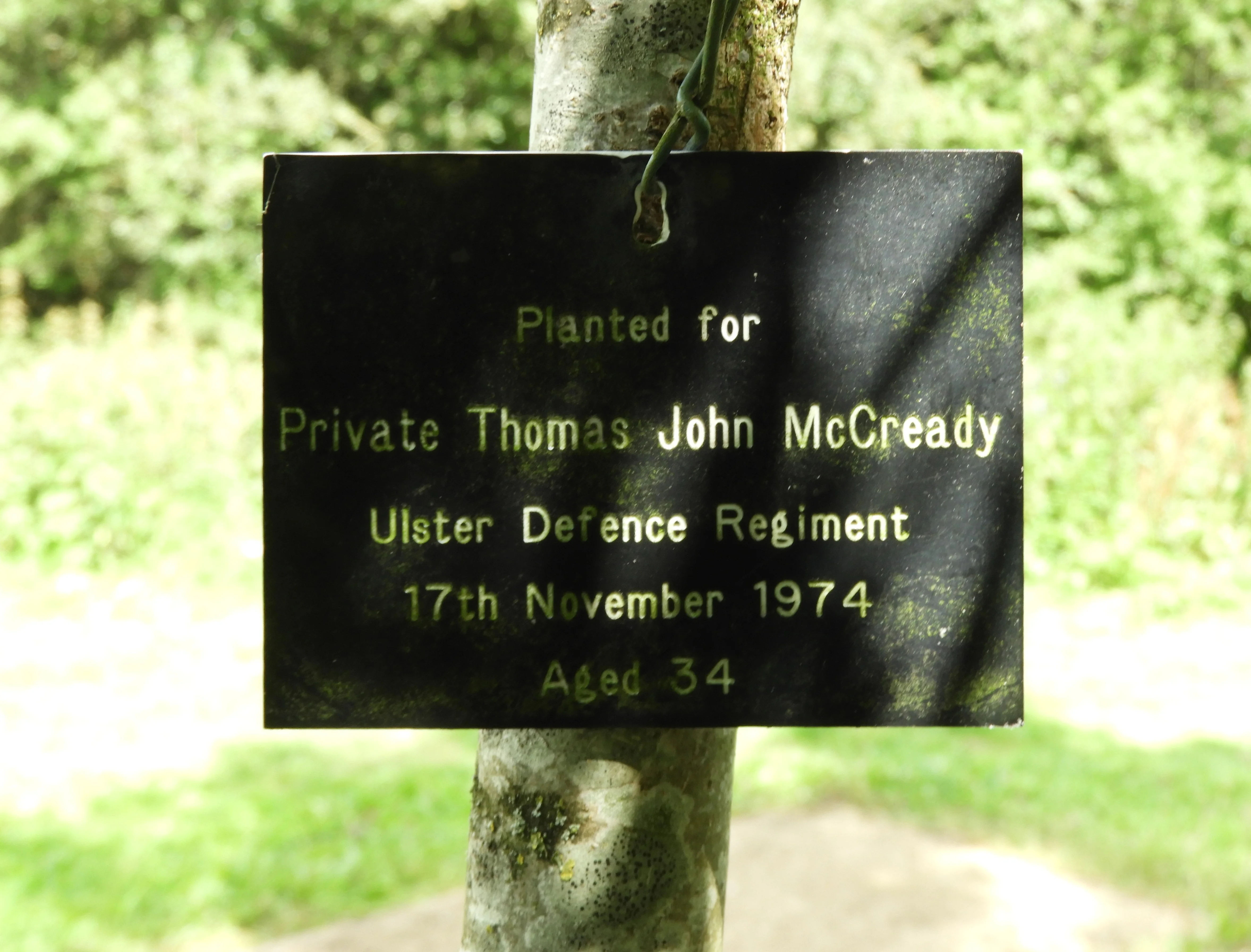 Thomas John McCREADY