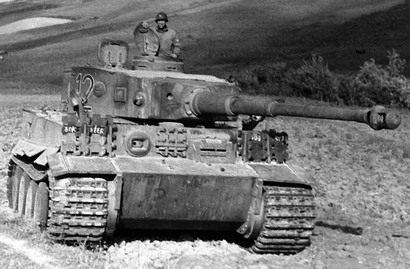 Tiger-captured-tunis_8308577490_o