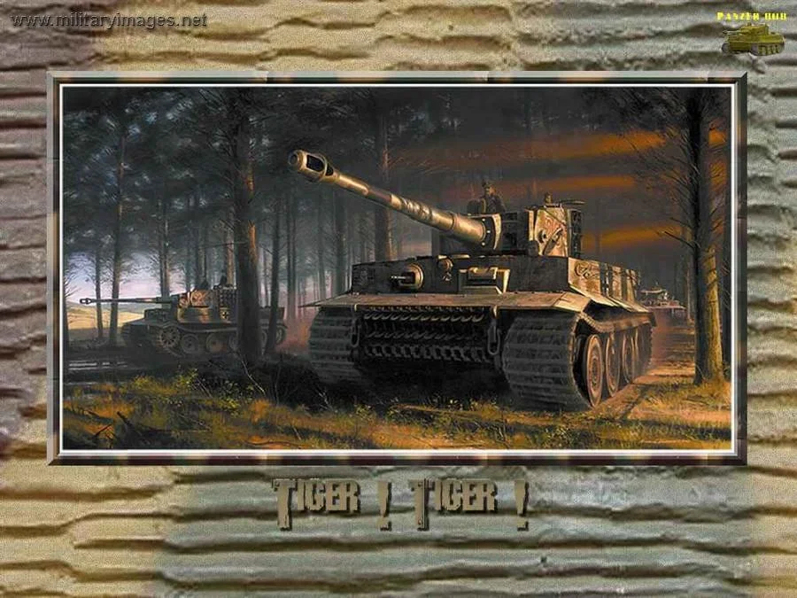 Tiger Tiger Nicolas Trudgian