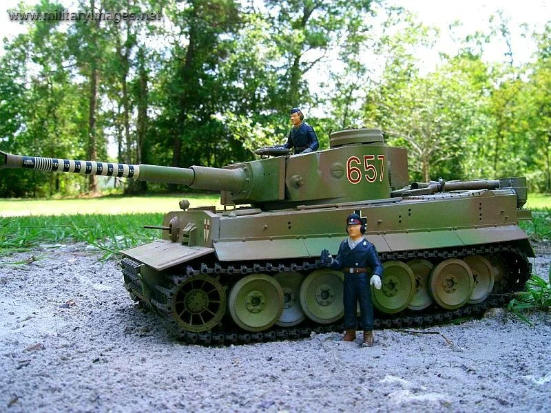 Tiger!