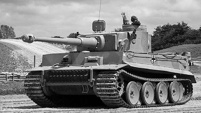 Tiger_by_amipal-d56ghm5