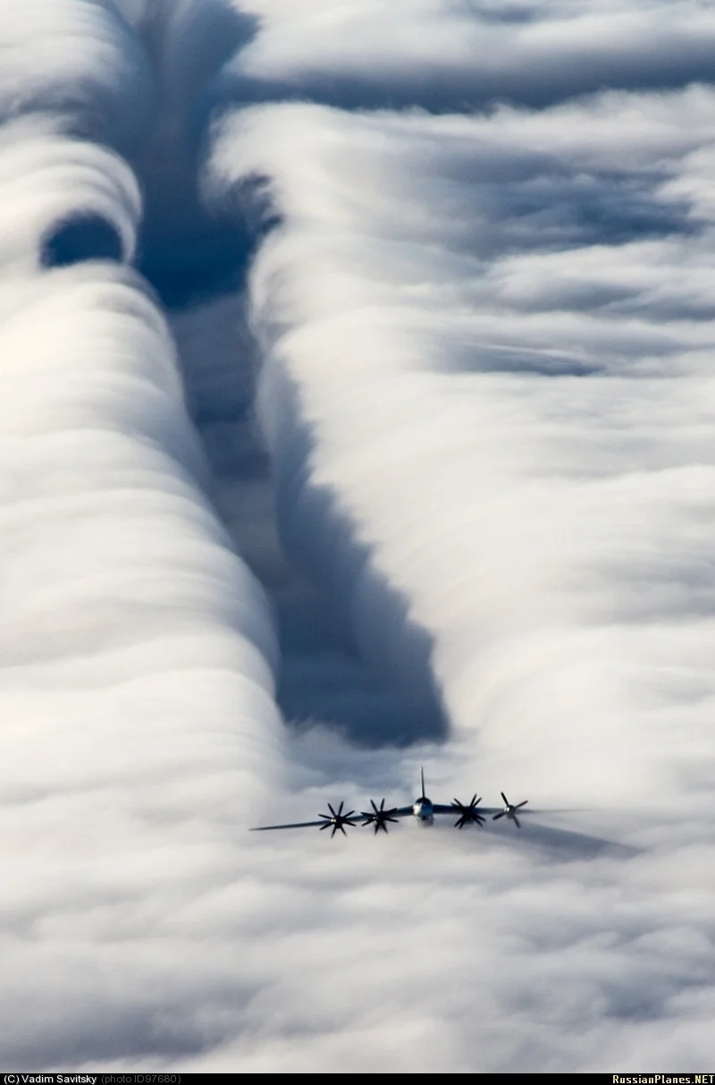 Tu-95_Bear