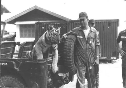 Tuffy loved to ride up and down the ramp