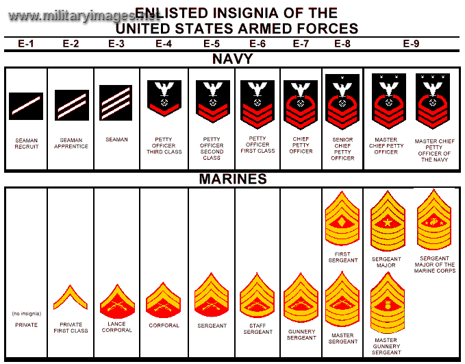 US Navy Enlisted Ranks | MilitaryImages.Net