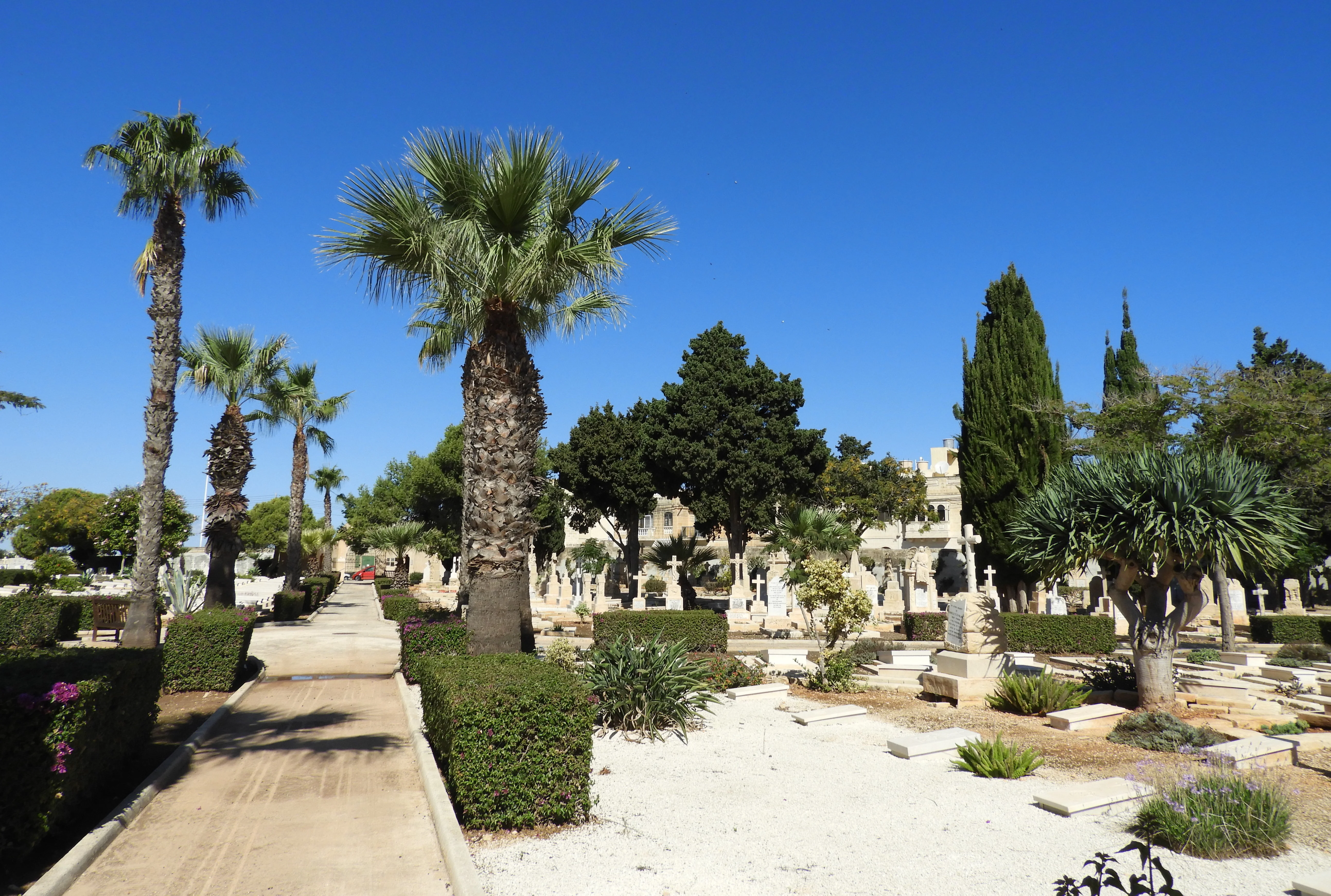 View of Capuccini Naval Cemetery