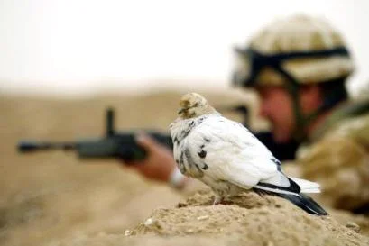 War And Peace