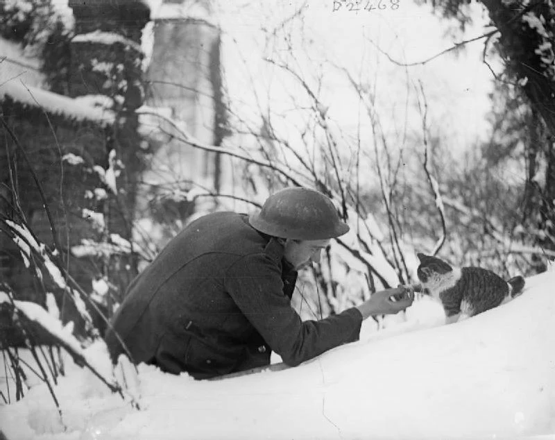 wwI
