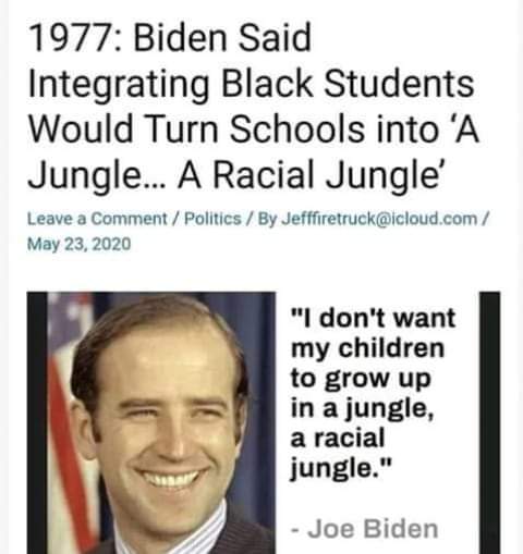 83386699-2755127598057206-1840103381621710370-n.jpg