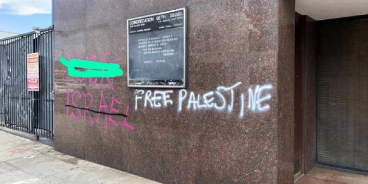 www.algemeiner.com