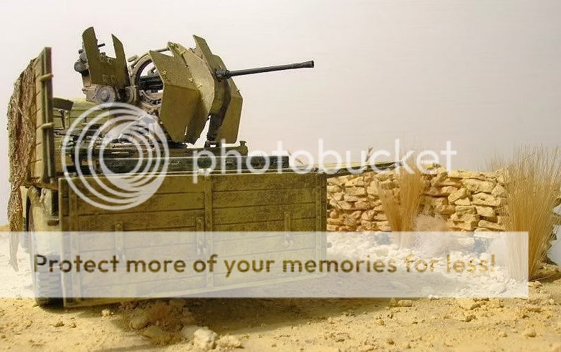 DSCN1287.jpg